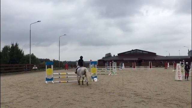 Соревнования❤️/тренировки?/Ждановское Подворье?/Раменский ипподром?/конкур? смотреть онлайн