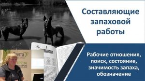 Обзорная лекция по подготовке собак по поиску тел погибших - Светлана Колпак
