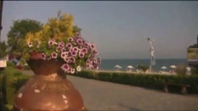 Елените Болгария. Аренда аппартаментов недорого. смотреть онлайн