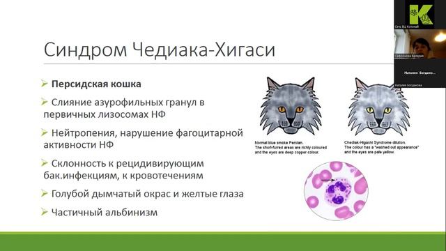 Породные особенности в лабораторной практике | Сафронова Валерия Александровна смотреть онлайн