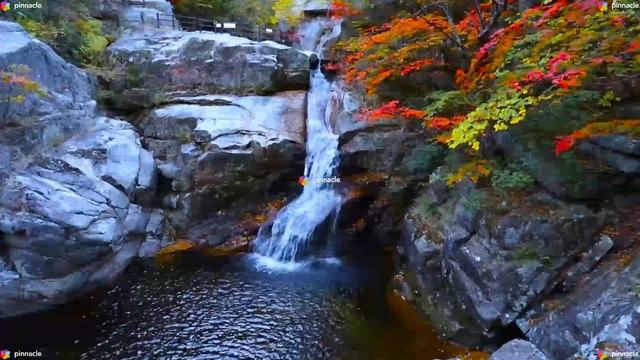 Легкая релаксация. смотреть онлайн
