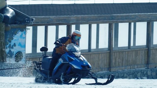 WOIDEAL WD150 Snowmobile