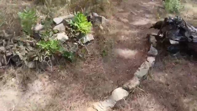 Временная стоянка дикарём, Черноморское побережье Кавказа. Сентябрь 2022 смотреть онлайн