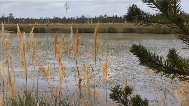 Открытие осенней охоты 2016