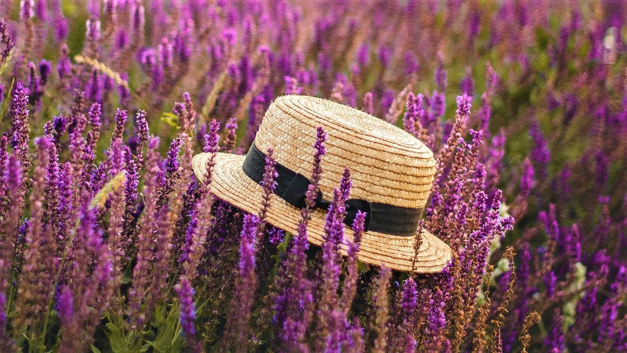 Разумное Человечество