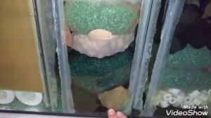 Самп для аквариума