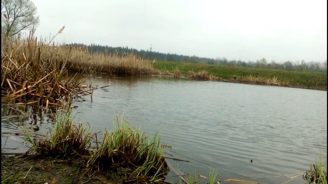 Супер Рыбалка на Попла Поппер смотреть онлайн