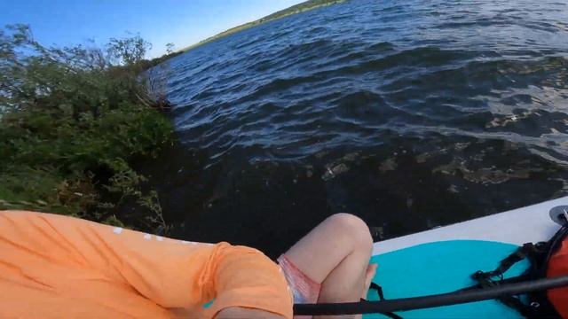 $20 PADDLE BOARD SAIL! смотреть онлайн