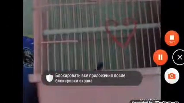 А патимейкер Шейкер Шейкер смотреть онлайн