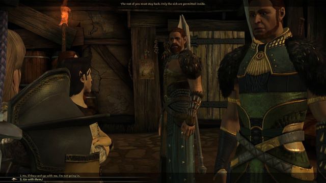 Dragon Age Origins 2023 06 04 15 43 28 смотреть онлайн