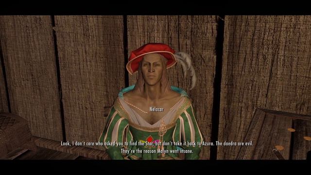 Skyrim: Nelacar Speaks Latin! смотреть онлайн