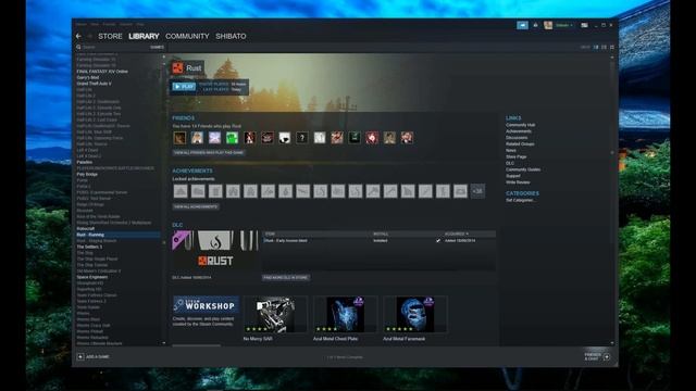 Rust Startup Problem смотреть онлайн