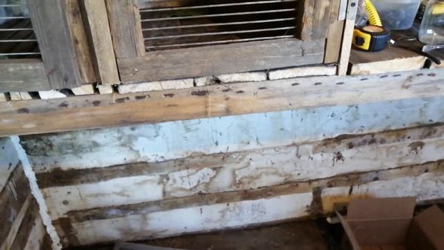 Начинаем разводить кроликов вместе с вами смотреть онлайн