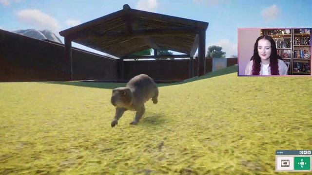 Best DLC So Far! // Planet Zoo: North America Animals Showcase смотреть онлайн