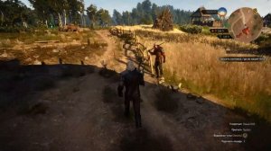 Ведьмак 3: все секреты Белого сада, 30 тайников