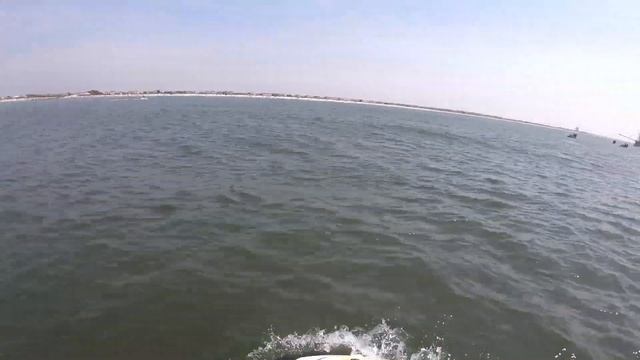 Myrtle Beach Watersports (Jet Ski Dolphin Tour)(FPV)