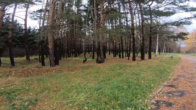 прогулка в татинце #татинец