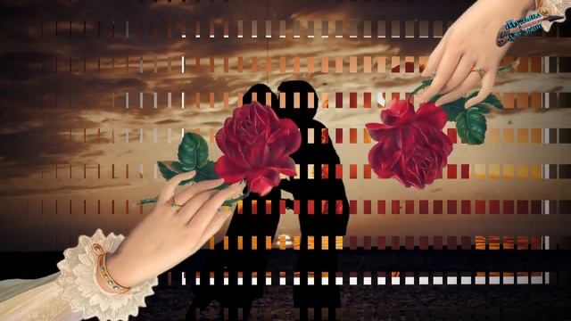 Я ЛЮБЛЮ ТЕБЯ ДВОРОВЫЕ ПЕСНИ ПОД ГИТАРУ смотреть онлайн