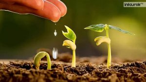 Защита почв | Окружающий мир 3 класс #7 | Инфоурок