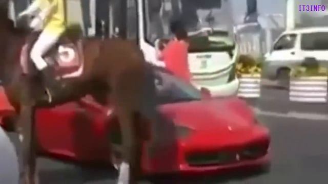 Ferrari vs Porsche Minions Style ( Funny ) смотреть онлайн
