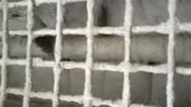 ОПТР мешает раствор