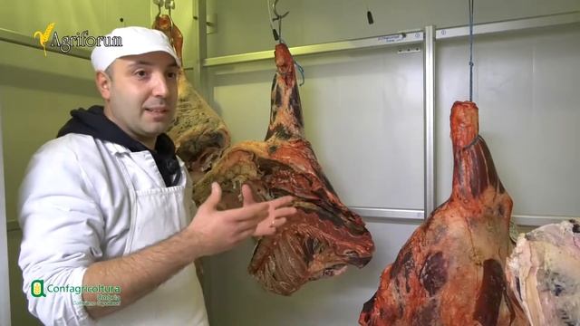 Agriforum: Chianina, allevamento e commercializzazione смотреть онлайн