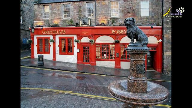Собаки, ставшие легендой_ скай-терьер Грейфрайерс Бобби (Greyfriars Bobby) смотреть онлайн