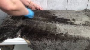 ПОЧИСТИТЬ ШУБУ ИЗ МУТОНА   3 СПОСОБА