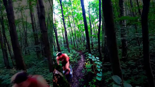 На шоссейнике по лесу)))#short