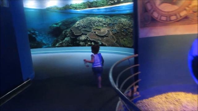 Palma Aquarium Majorca смотреть онлайн