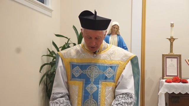 Fr. Joseph Illo's Homily, 3/25/20 смотреть онлайн