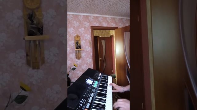 Розовый вечер смотреть онлайн
