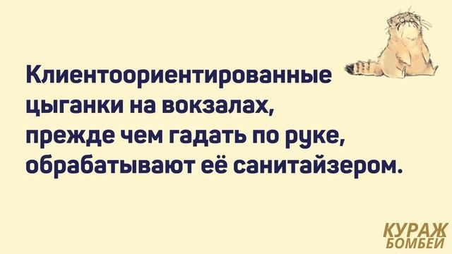 Аморальные мемы: из жизни цыган и эволюция по Дарвину #анекдоты #юмор смотреть онлайн