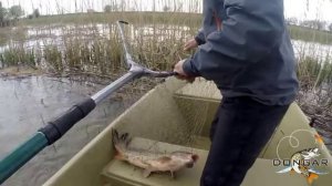 Оснастка «поставуха» на сазана. Рыбалка на сазана в Астрахани