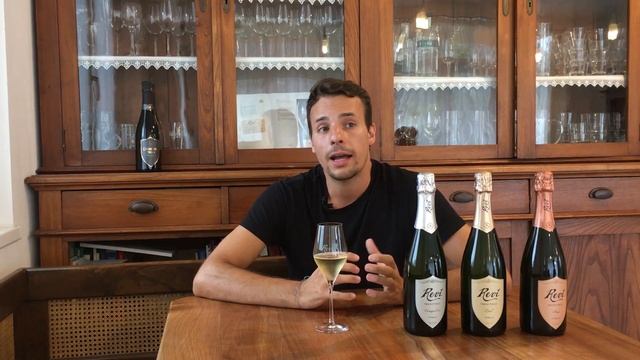Giacomo Malfer presenta la Linea Classica di Revì Trentodoc смотреть онлайн