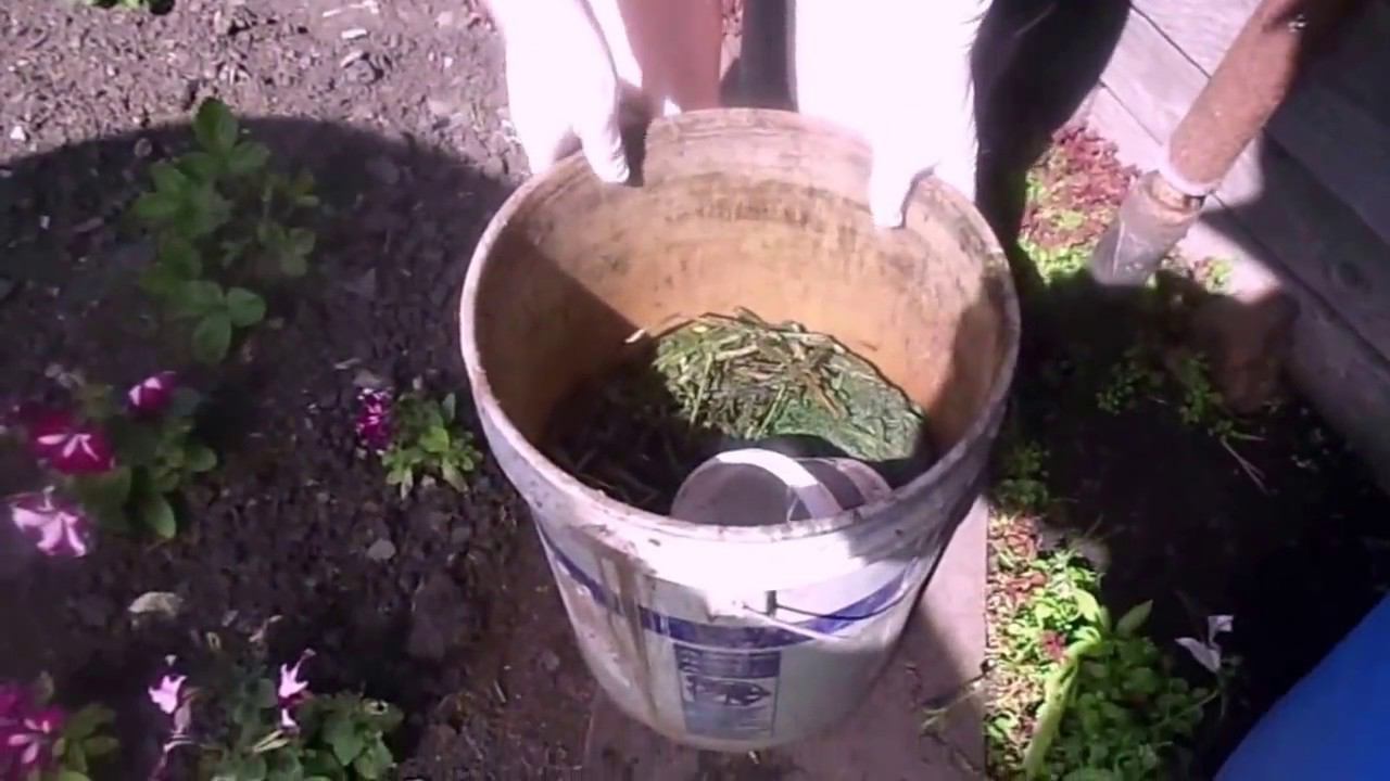 Подкормка Томатов в Теплице и Открытом Грунте Зеленым Удобрением из Крапивы. смотреть онлайн