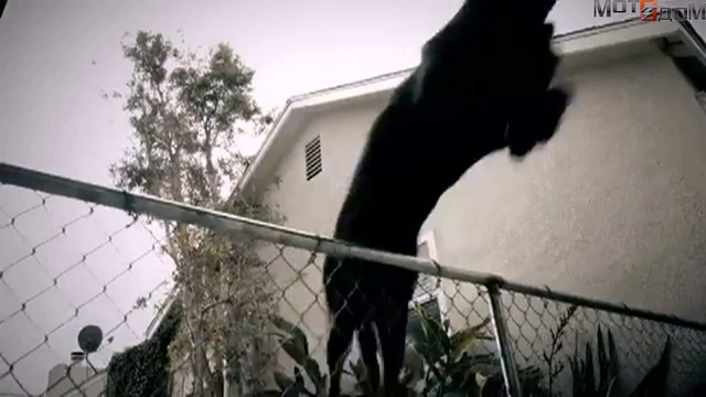 Night Rod Special - Unchained - Harley-Davidson Commmercial