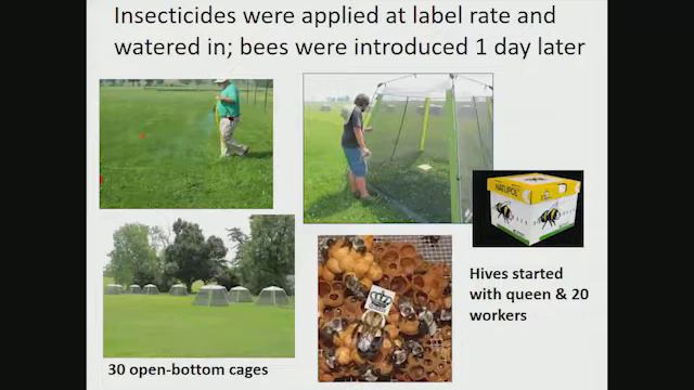 Bees, Pesticides, & Politics: Challenges & Opportunities for Sustainable Urban Landscapes смотреть онлайн