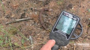 Обзор прошивки 1.09 Nokta Makro Legend