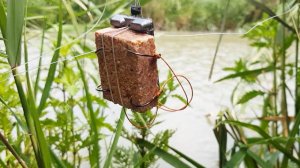 Тест Ловли Сазана на Макушатник Рыбалка в Дагестане