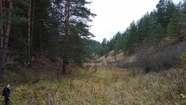 Живопись и Рисование