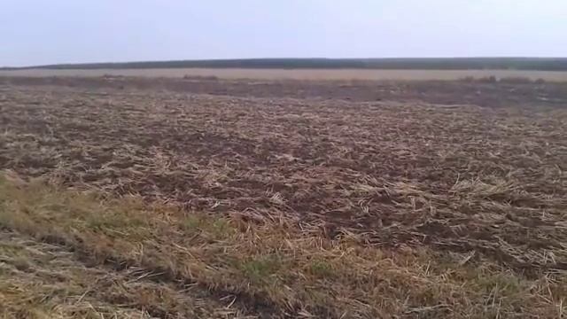 Gruberowanie 2015 :) Renault 90-34 & ROL/EX смотреть онлайн