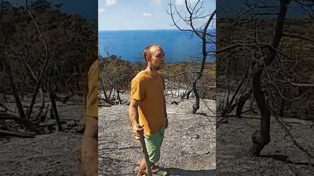 АНАПА! КАК ЭТО БЫЛО! ПОЖАР В ЗАПОВЕДНИКЕ УТРИШ! смотреть онлайн