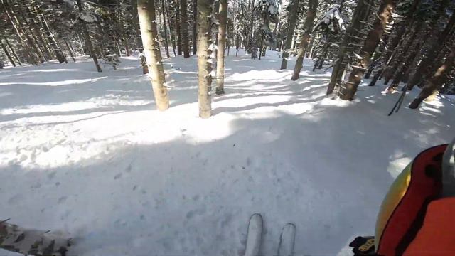 Pamporovo 17 02 19 смотреть онлайн