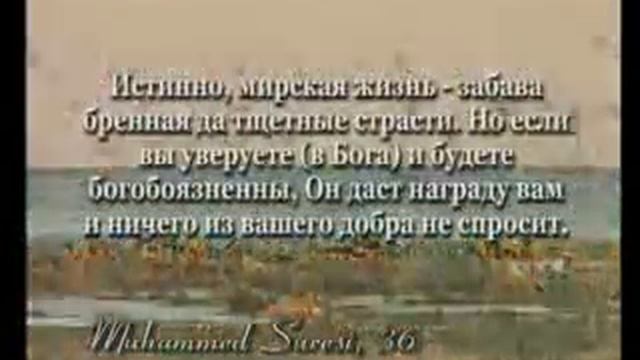 Коран. Чтение смыслов избранных Сур и аятов. Часть 2 смотреть онлайн