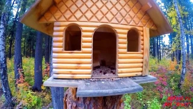 новостройка Сургут ЖК Новые ключи, прогулка по парку, отдел продаж смотреть онлайн