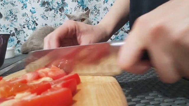 Теплый салат из баклажан и помидор. Салат с баклажанами и помидорами. смотреть онлайн