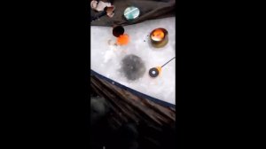 Ловля линя зимой