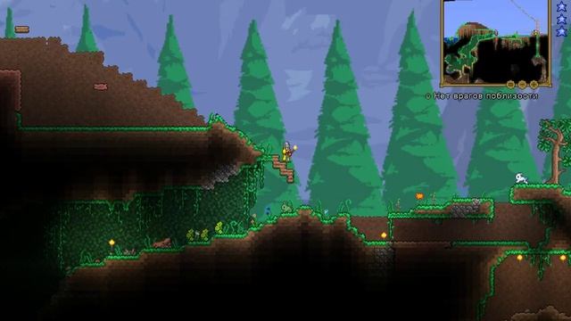 Terraria Expert | Стрим #1 + VimeWorld смотреть онлайн