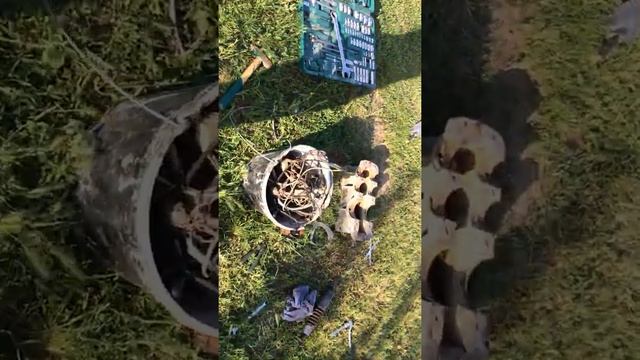 Вторая жизнь Муравей 2 смотреть онлайн